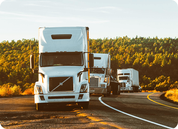 Transparency & Trust